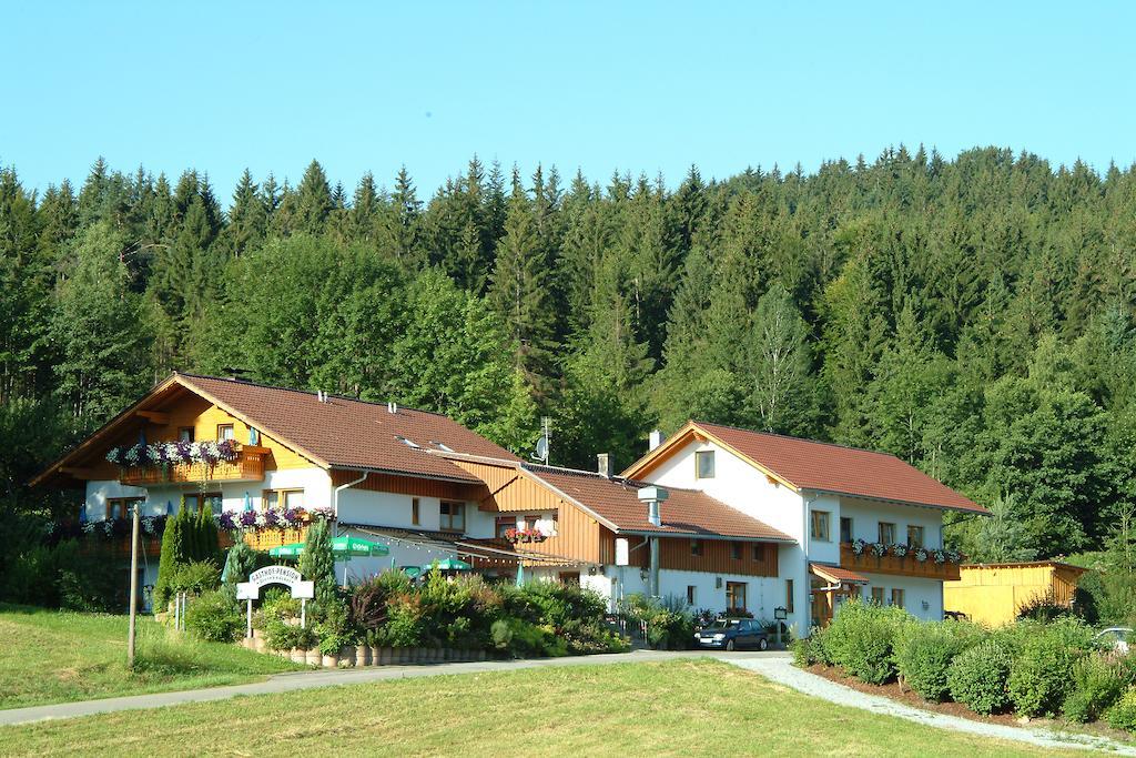 Gasthaus Pension Sternknockel Bodenmais Εξωτερικό φωτογραφία