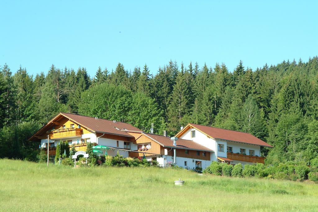 Gasthaus Pension Sternknockel Bodenmais Εξωτερικό φωτογραφία